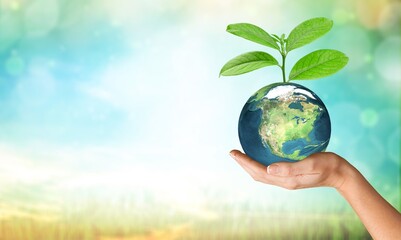 Growing green tree on small Globe in hand