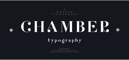 Elegant wedding logo alphabet letters font. Typography luxury classic lettering serif fonts decorative vintage retro logos and number. vector illustration