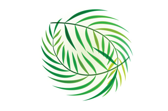 Palms Good Friday - Palm tree leafs in a circle shape icon logo vector image design