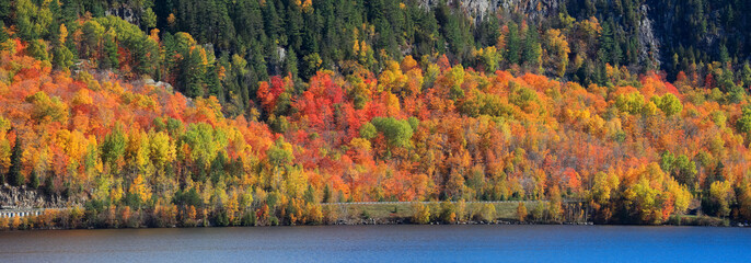 Panoramic view of Colorful fall foliage along river Saint Maurice in Quebec, Province.