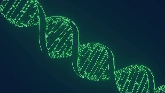 dna strand helix human body medical science animation