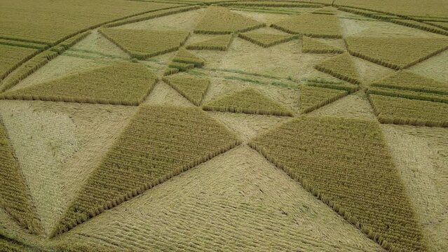 Micheldever crop circle 2023 low aerial view circling Hampshire strange geometric wheat field farmland artwork