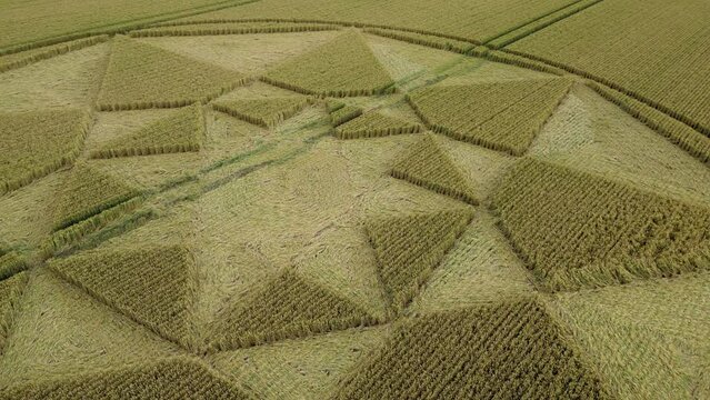 Micheldever crop circle 2023 low aerial view orbiting strange Hampshire geometric wheat field farmland vandalism
