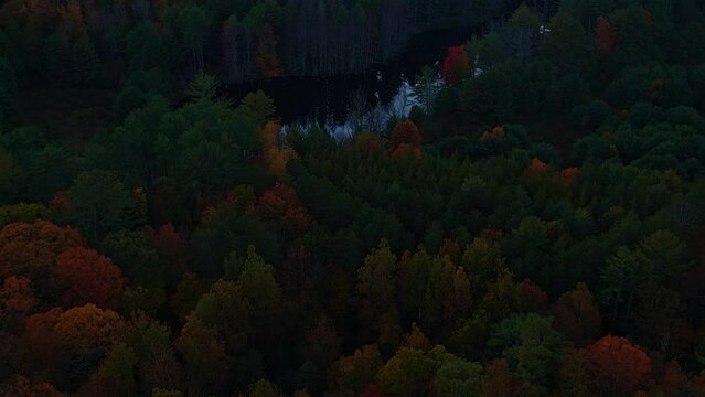 Stunning aerial drone  video footage of colorful autumn canopy and woodland pond at night