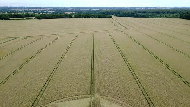 Establishing aerial view over golden wheat farmland to reveal Micheldever 2023 star shaped crop circle pattern, Hampshire
