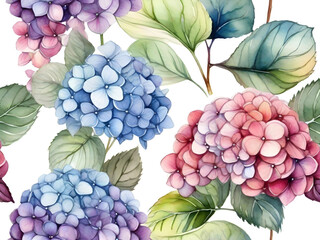 set of watercolor hydrangea on transparent background