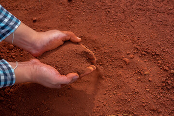 Top view, the hands delicately cradle the soil, emphasizing the importance of the earth as the foundation of life.