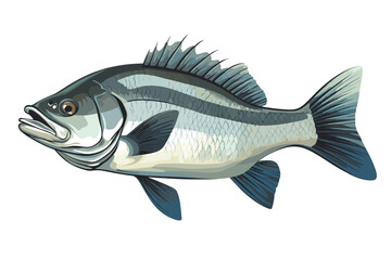 Perch fish vector art still life painting flat illustration