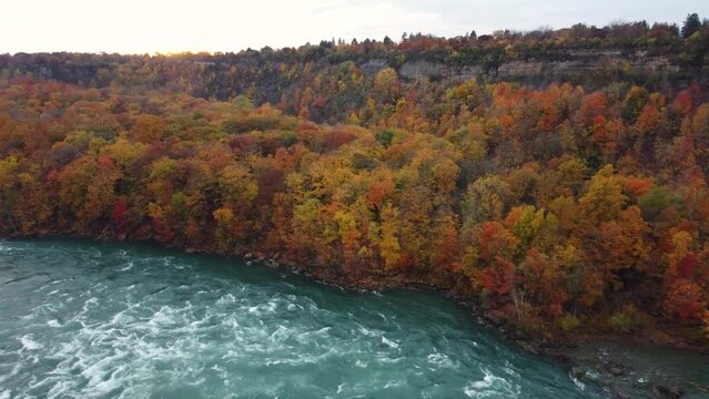 Stunning aerial view of the wild river and autumn forest in Niagara Glen Nature Reserve