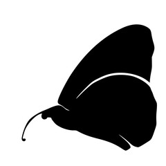 Butterfly outline. Hand drawn illustration. Doodle line art