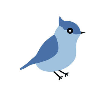 Blue gray gnatcatcher flat icon. vector illustration