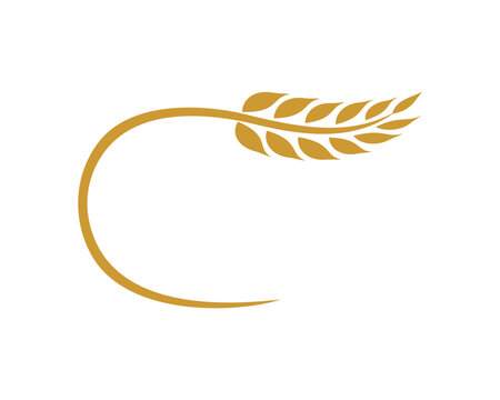 Flying golden wheat vector illustration