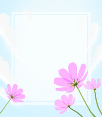 cosmos flowers on sky illustration background , memo pad, writing pad, blank