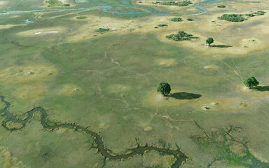 Aerial view of the amazing Okavango Delta, Botswana, Africa