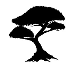 Silhouette Bonsai tree logo illustration icon