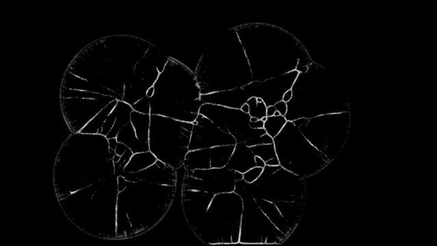 Simulated animation of several organisms growing and expanding as they develop.