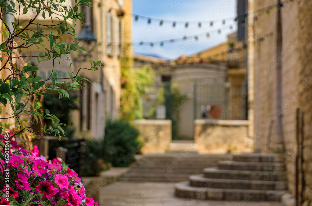 Wall mural traditional old stone houses on a street seen through the flowers in the medieval town of saint paul