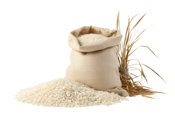 Photo of rice sack with rice crop isolated PNG