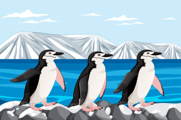 Obraz premium Penguin Standing on Rocks in Arctic