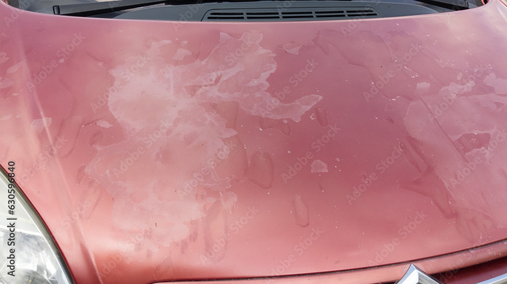 Wall mural car red used peeling paint pink scratch on grunge faded hood worn by time and weather