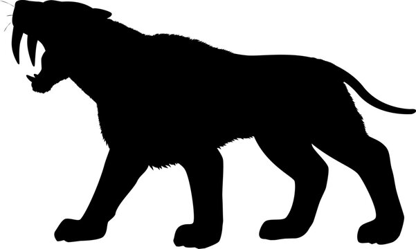 サーベルタイガー」の写真素材 | 4,234件の無料イラスト画像 | Adobe Stock