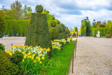 Trimmed trees and flower beds in the Gardens of Versailles, Chateau Versailles near Paris, France.