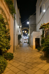 Fototapeta na wymiar Night photo of an alley in Ruffano, an old village in the province of Lecce, Italy.