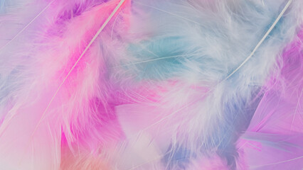 pink feather wool pattern texture background