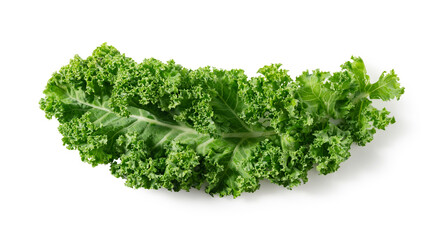 Kale placed on a white background.