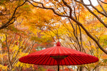 紅葉と和傘