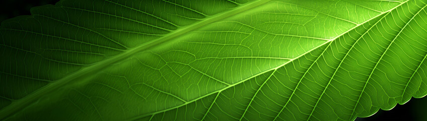 Intricate Green Leaf Texture Created by Generative AI