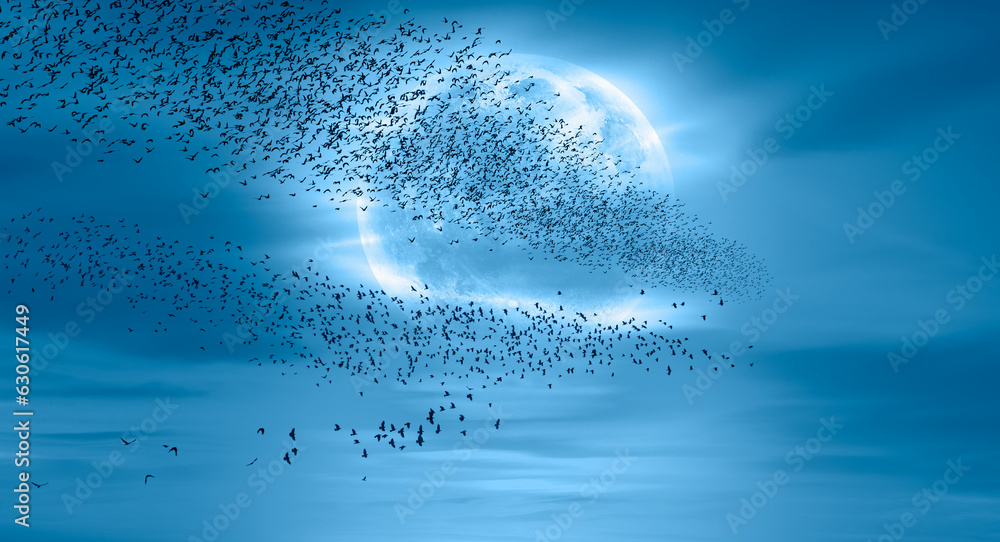Aufkleber flock of starlings migrating to the moon - silhouette of flock birds flying with full moon at sunset