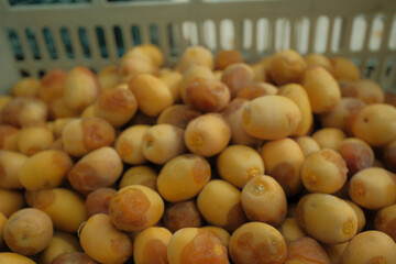 photo of iraqi dates fruits Birhi in basra city
