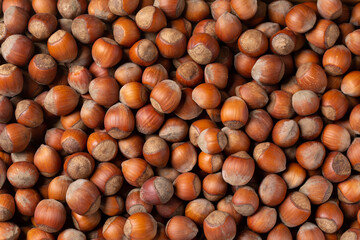 Hazelnuts as background. Nuts in shell. Top view.