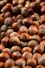 Hazelnuts as background. Hazel nuts in shell.
