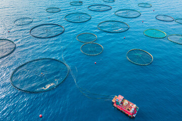 Offshore aquaculture fish farming cages for grow salmon in calm deep waters