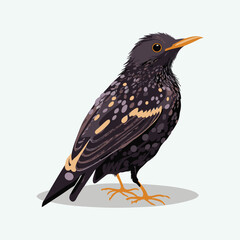 vector cute starling cartoon style