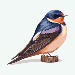 vector cute barn swallow cartoon style