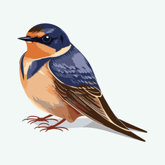 vector cute barn swallow cartoon style
