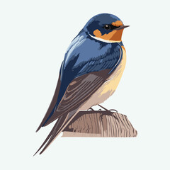 vector cute barn swallow cartoon style