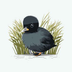 vector cute coot cartoon style