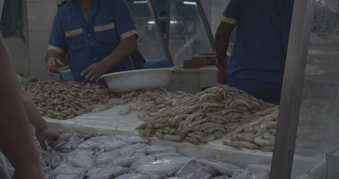 Market stall in the Fish market  Jeddah  Saudi Arabia
