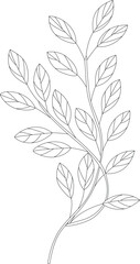 line art vector flower free download