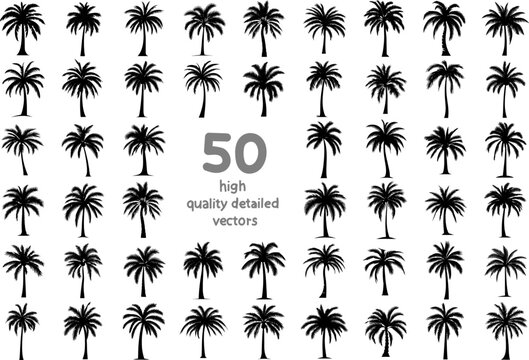 set of silhouettes of palm trees vector images on a white background