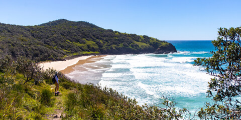 panorama of new south wales coast in hat head national park; green hills coverd with juicy grass by...