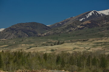 Summer landscapes of the Altai Mountains.