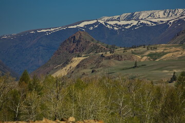 Summer landscapes of the Altai Mountains.