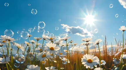 Chamomile flowers with soap bubbles on sunny meadow. Nature background. White daisies and soap bubbles on a green meadow. Generative AI technology.