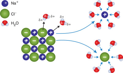Chemical. chemistry lesson. chemistry question in exam. Dissolution of NaCl solid in water. Physics. Science.