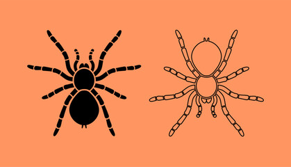 Spider tarantula, black silhouette and line silhouette. Vector illustration isolated on orange. Spiders and background separate layers.